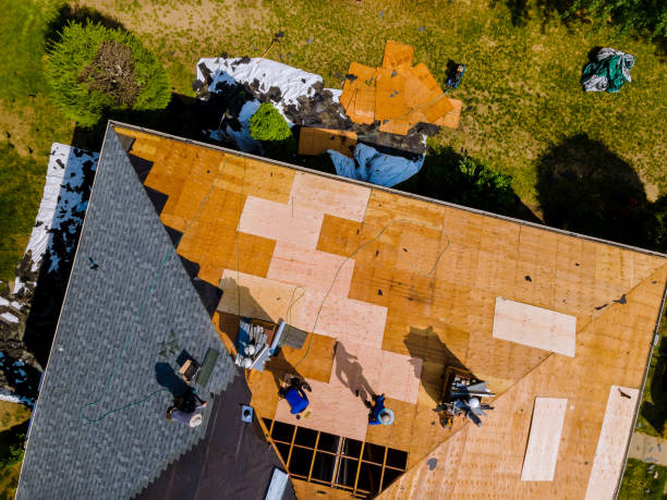 Best Shingle Roofing Installation  in Forney, TX